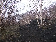 rra delle Concazze-20100425 009